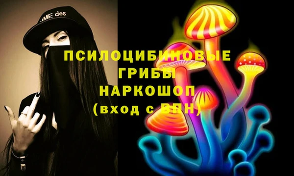 марки lsd Абаза