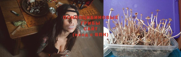 соль ск Абдулино