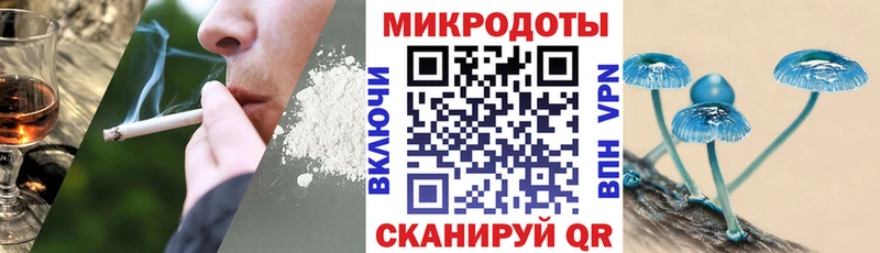 blacksprut вход  Арсеньев  Псилоцибиновые грибы Psilocybine cubensis 